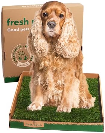Fresh Patch Real Grass Patch for Dogs, Cats, 
