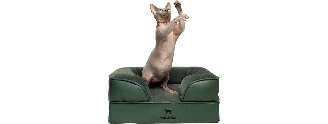 NOAH & PAW Dog/Cat Sofa- Small