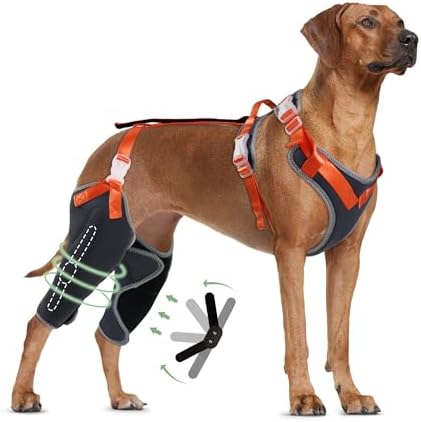 LISPOO Dog Knee Brace for ACL/CCL Injuries,To