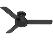 Hunter Fan 44" Ceiling Fan, Matte Black