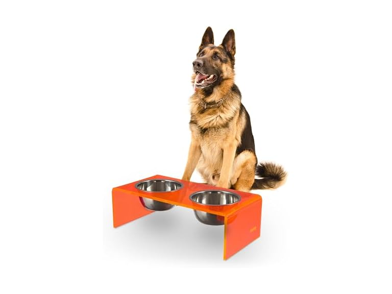 Keaton 7.5" Modern Acrylic Rectangular Elevated Pet Feeder