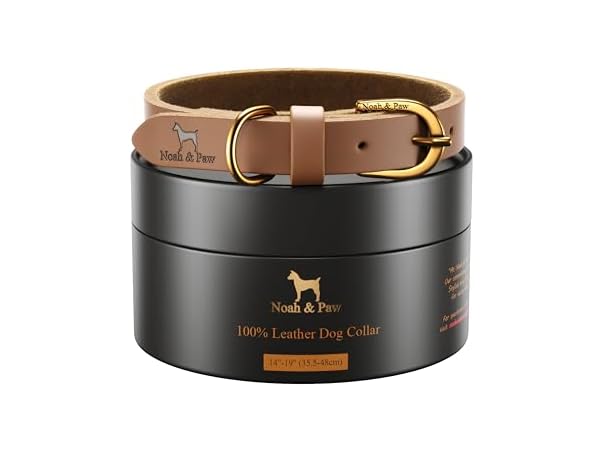 NOAH & PAW Genuine Leather Dog Collar