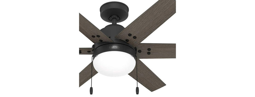 Hunter Fan 44" Ceiling Fan w/ Lights, Black