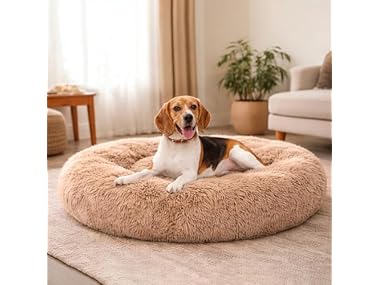 Dog & Cat Bed for Indoor Cats Calming Donut Bed