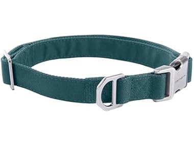 Carhartt Field Dog Collar, Fully Adjustable Greenstone, Med