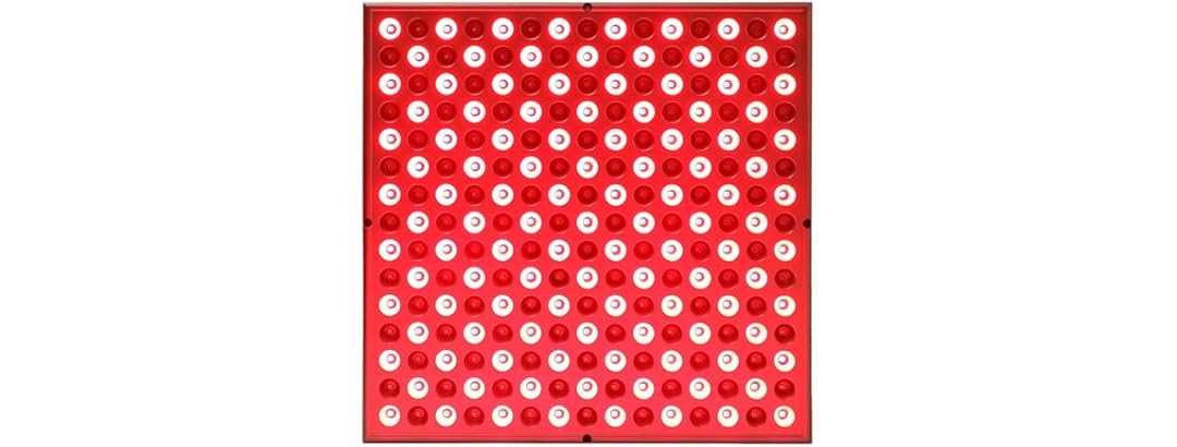 Red-Light-Therapy-Device
