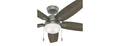 Hunter Fan 52" w/ LED Light Kit