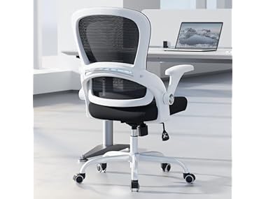 Office Chair - Ergonomic Office Chair