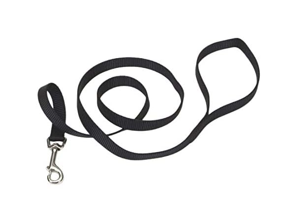Coastal Pet Single-Ply Dog Leash - Sturdy Pet
