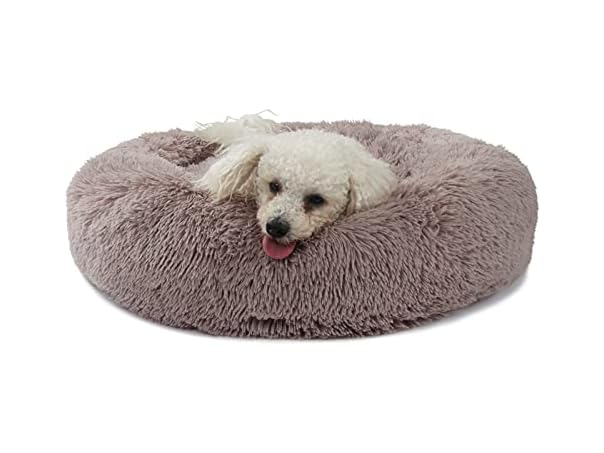 Dog Beds for Medium Dogs Washable Orthopedic