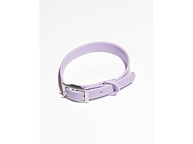 Wild One Collar - Large - Lilac
