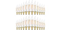 24PK GoBright 4W Candelabra Light Bulbs -Choose Color