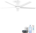 Smart Ceiling Fans