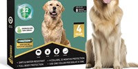Flea & Tick Collar for Dogs 4-Pack
