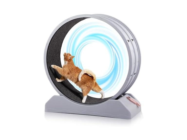 Outvita Cat Wheel, PP Plastic Cat Exercise Wh