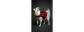 NOAH & PAW Dog Life Jacket- XSmall