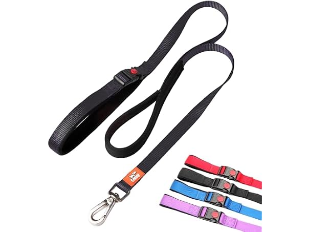 Canny Connect Leash - Anti Pull Dog Leash, Black