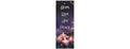 Christian Brands Advent Candles X-Stand Church Banner, 2' x 6'
