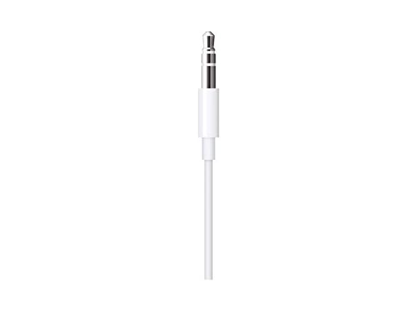 Apple Lightning to 3.5 mm Audio Cable (1