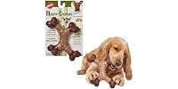 SPOT Bam-Bones Dental X-Bone Dog Chew Toy