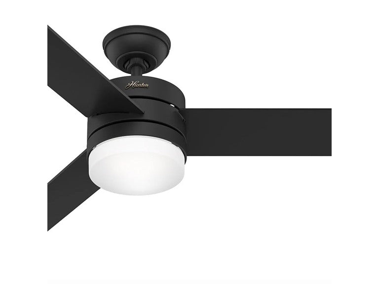 Hunter Fan 54" Ceiling Fan, Black