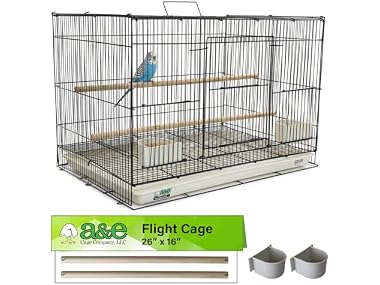 A&E Cage Co 503 Flight Cage 24"x16"x16" Small Bird