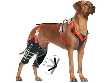 LISPOO Dog Knee Brace for ACL/CCL Injuries,To