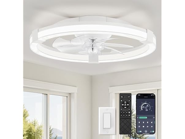 LEDIARY 20" Low Profile Ceiling Fan