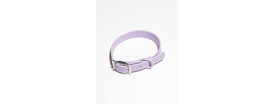 Wild One Collar - Large - Lilac