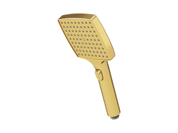 Symmons HydroMersion Transitional Handheld Shower Wand