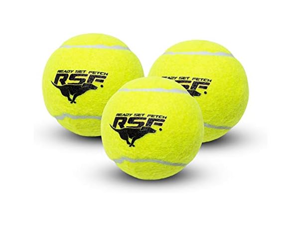 Franklin Pet Supply Co. Squeaky Dog Tennis Balls