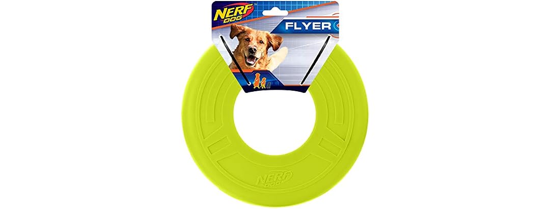 Nerf Dog 13in 2-Ring Strap Tug - Blue/Green