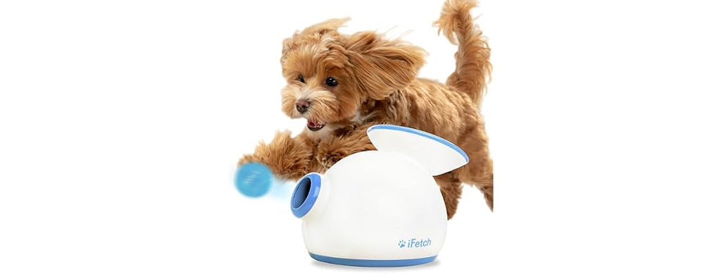 iFetch Automatic Ball Launcher for Small Dogs