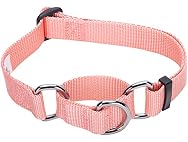 Blueberry Pet Essentials Martingale Safety Collar