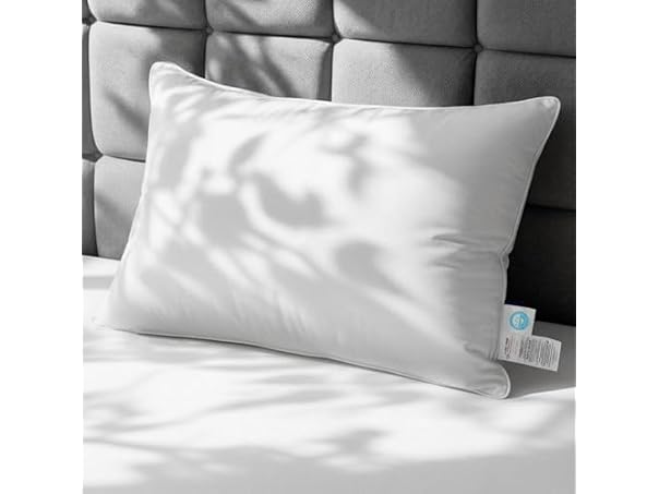 White Goose Down Pillow, Feather And