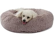 Dog Beds for Medium Dogs Washable Orthopedic