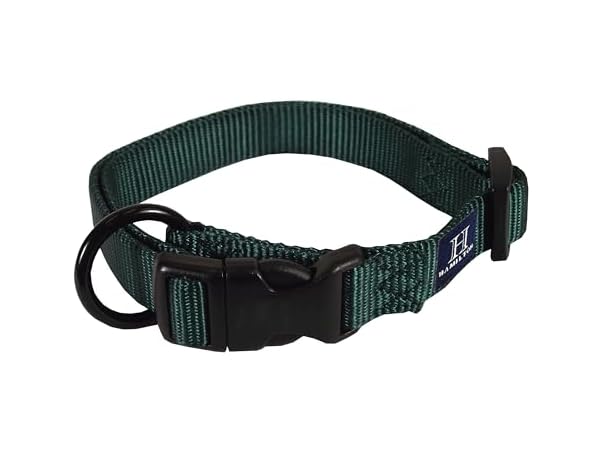 Hamilton Adjustable Nylon Dog Collar, Dk Green