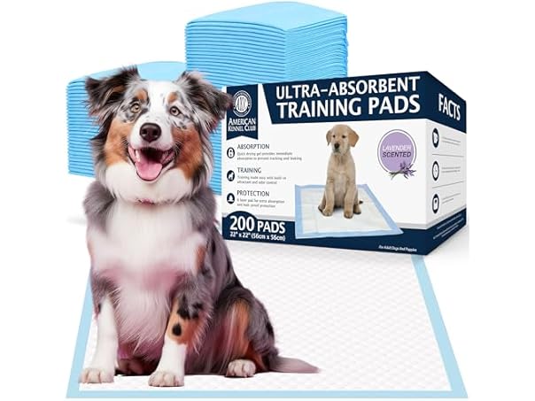 American Kennel Club Scented Puppy Training Pad