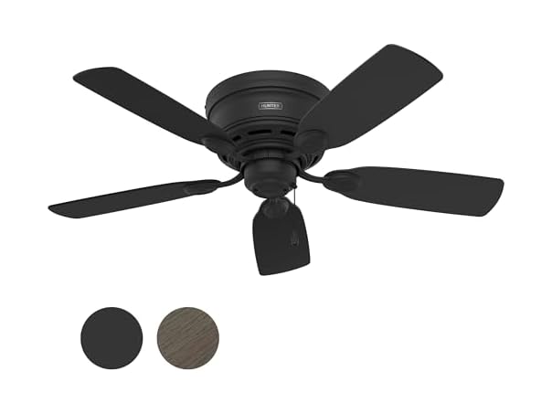 Hunter Fan 42" Low Profile, Matte Black