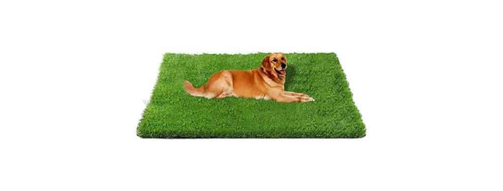 Fhiny Artificial Grass Rug