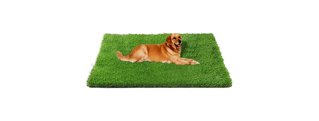 Fhiny Artificial Grass Rug