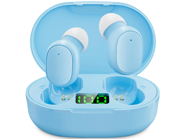 USB-C Rechargeable Wireless Earbuds