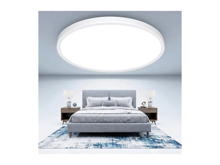 GoBright 16.5Inch LED Ceiling Light Fixture