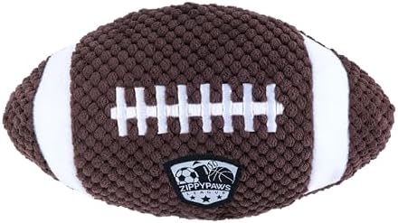 SportsBallz Football