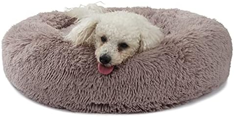 Dog Beds for Medium Dogs Washable Orthopedic 