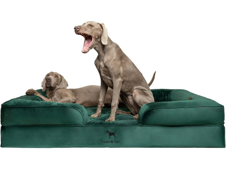 NOAH & PAW Dog/Cat Sofa- XXLarge