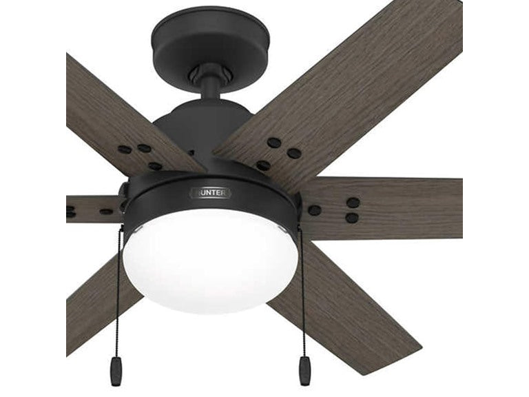 Hunter Fan 44" Ceiling Fan w/ Lights, Black