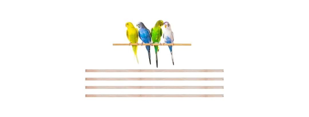 New Natural Wood Perches for Bird Cage, Many