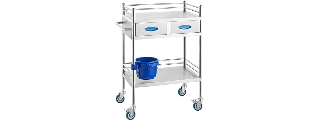 VEVOR Lab Serving Cart, 2 Layers