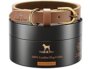 NOAH & PAW Genuine Leather Dog Collar